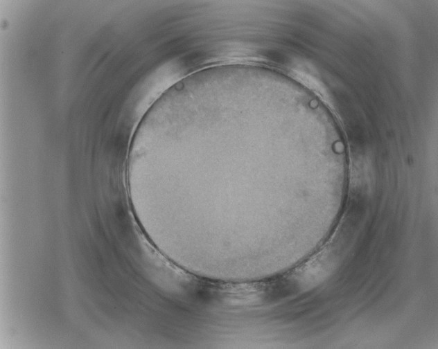 X0000079281338200612081743