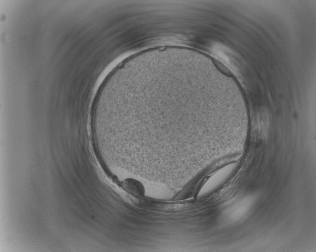 X0000079281339200612081743