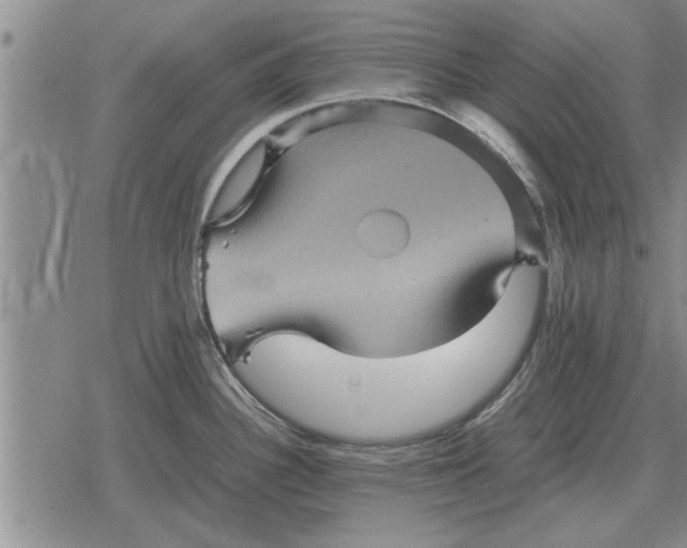 X0000079281340200612081743