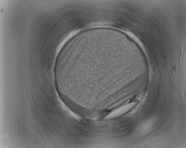 X0000079281341200612081743