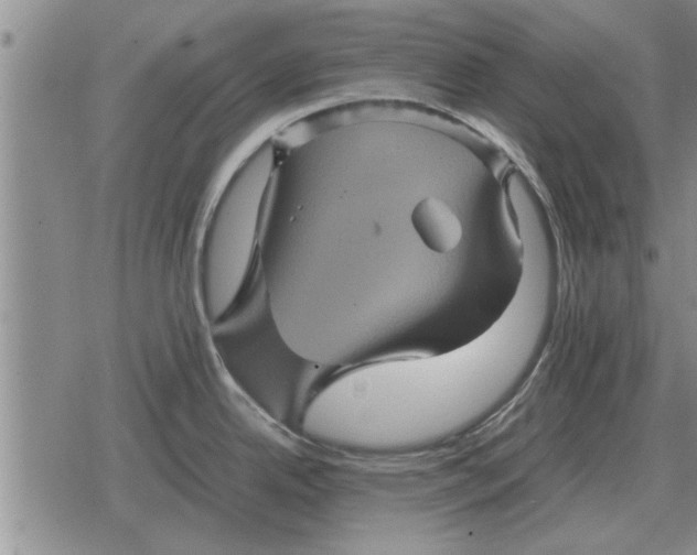 X0000079281342200612081743