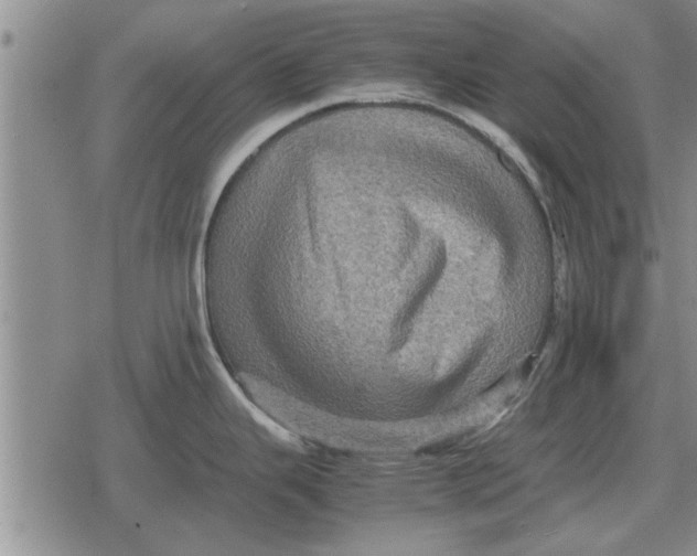 X0000079281343200612081744