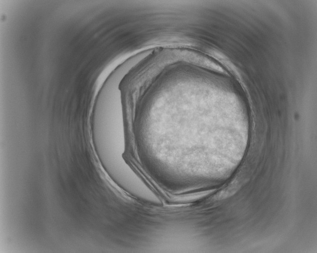 X0000079281344200612081744