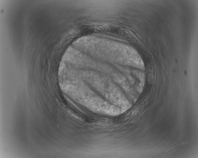 X0000079281345200612081743