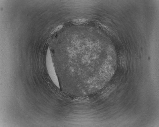 X0000079281346200612081743