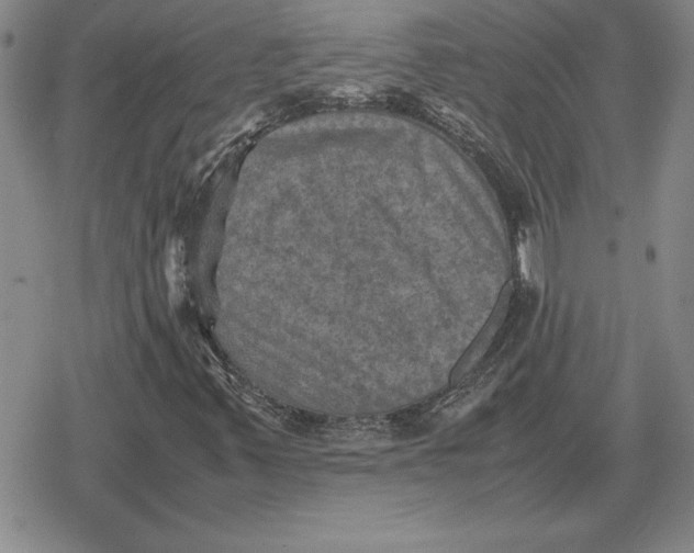 X0000079281347200612081743