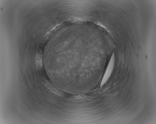 X0000079281348200612081743