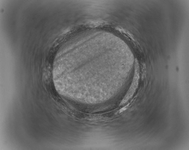 X0000079281349200612081743