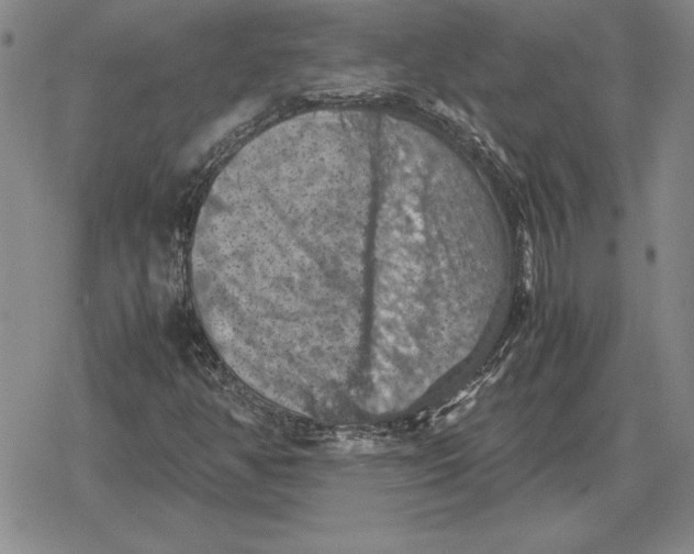 X0000079281350200612081743