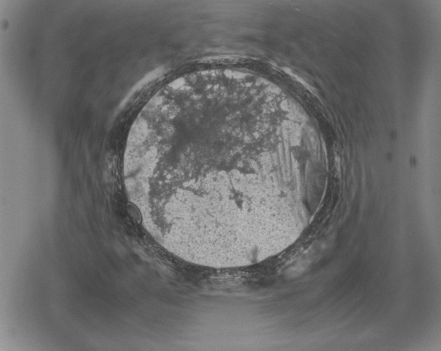 X0000079281351200612081743