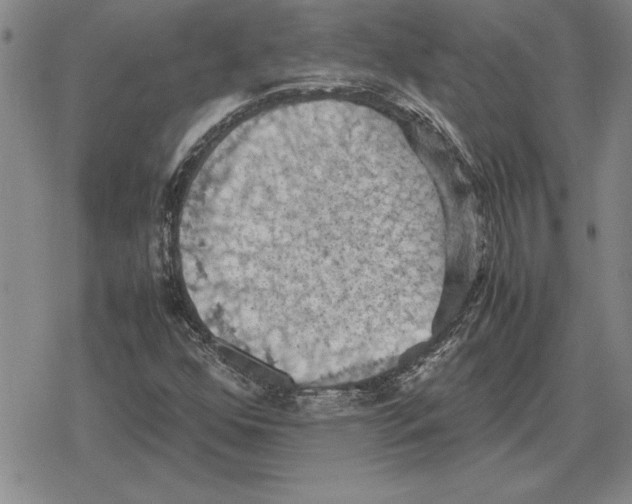 X0000079281352200612081743