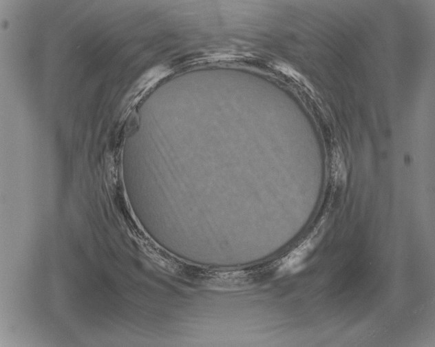 X0000079281353200612081743