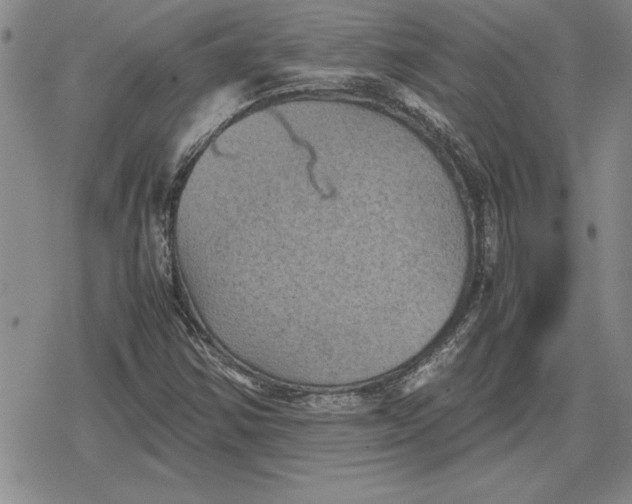 X0000079281354200612081743