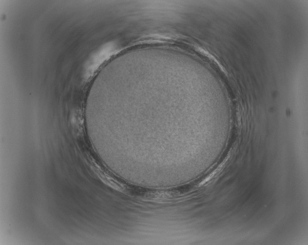 X0000079281355200612081743