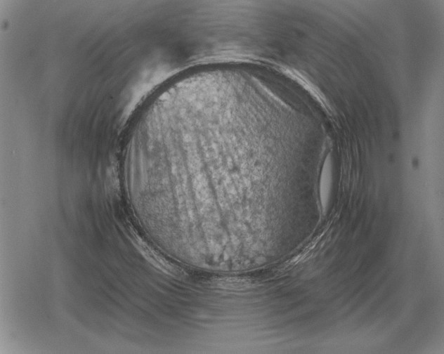 X0000079281356200612081743