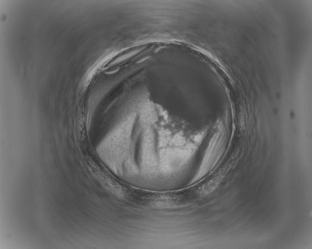 X0000079281359200612081743