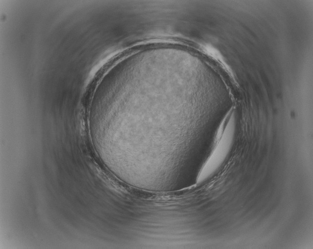 X0000079281360200612081742