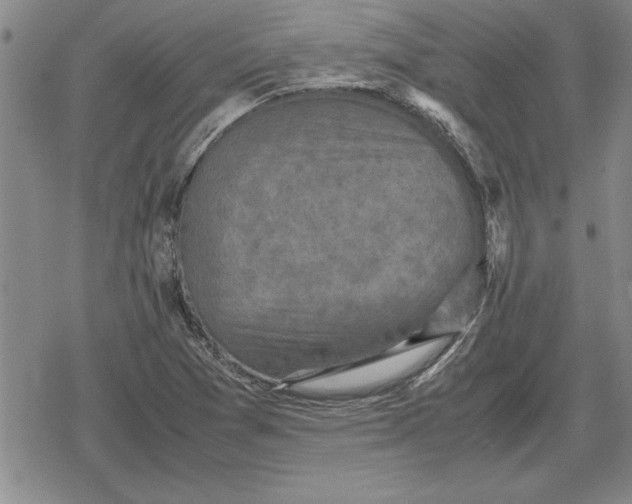 X0000079281361200612081742