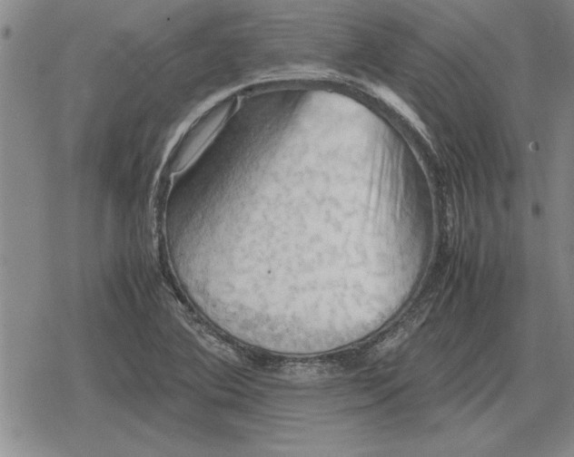 X0000079281364200612081742