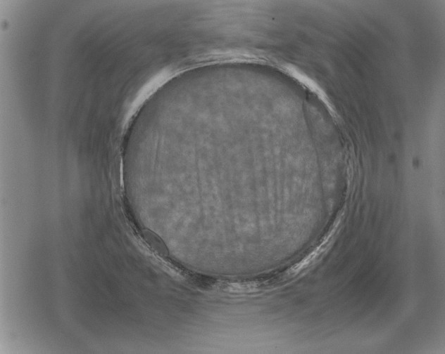 X0000079281365200612081742