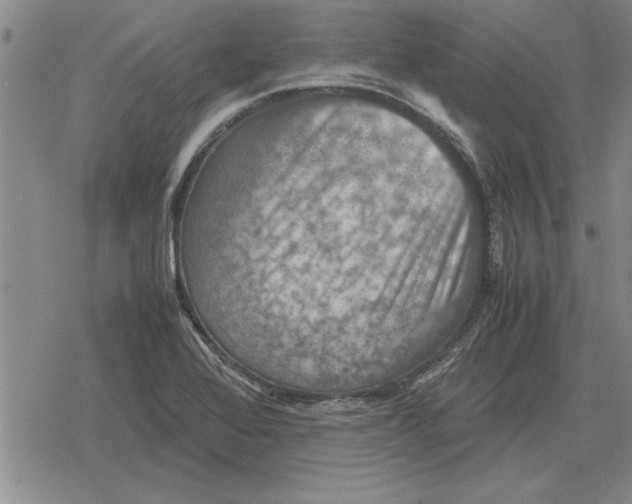 X0000079281368200612081742