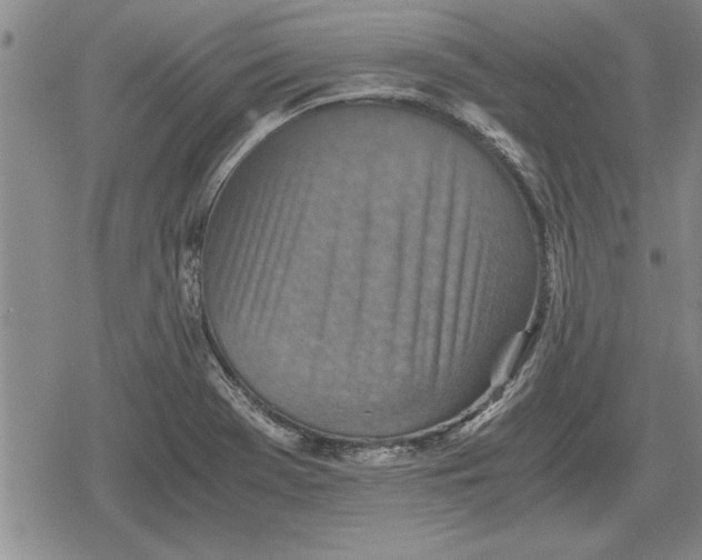 X0000079281369200612081742