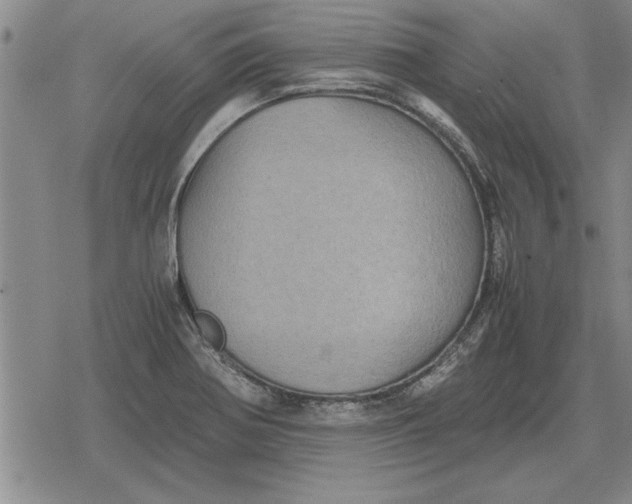 X0000079281370200612081742