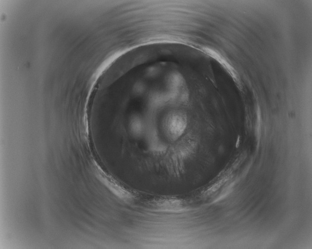 X0000079281372200612081742