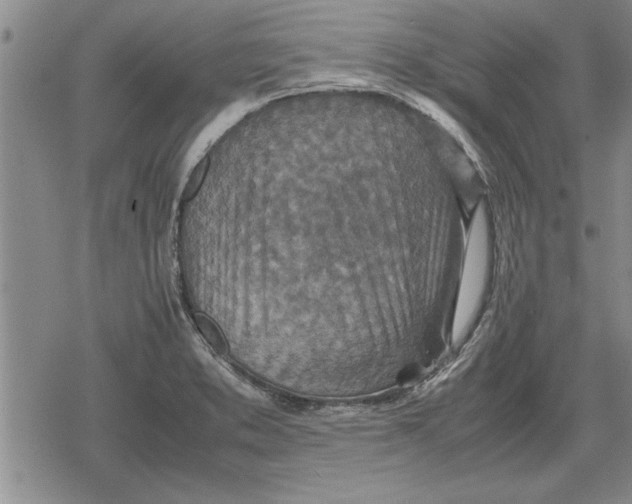 X0000079281373200612081742