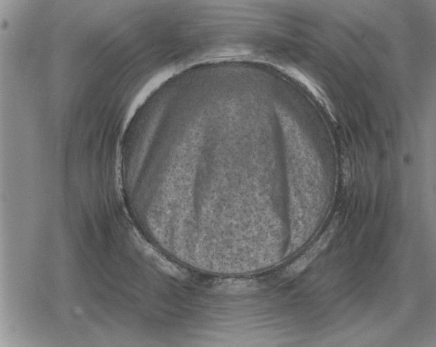 X0000079281374200612081742