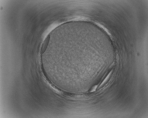 X0000079281375200612081742