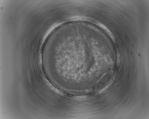 X0000079281376200612081742