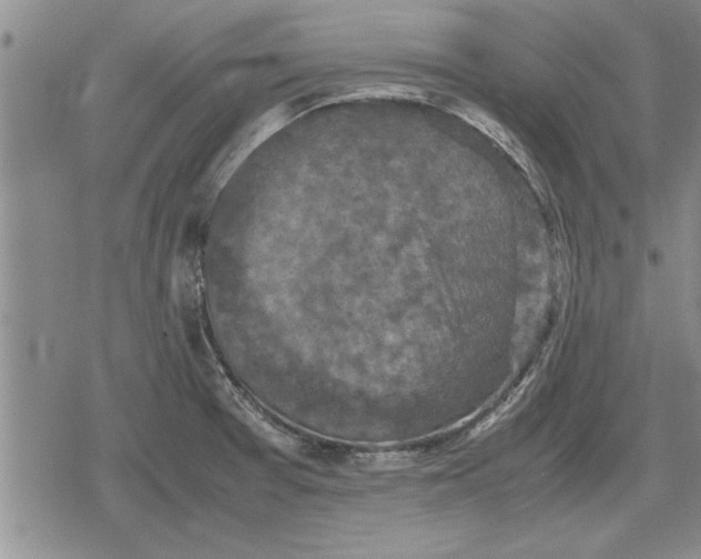 X0000079281377200612081742