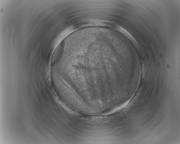 X0000079281378200612081742