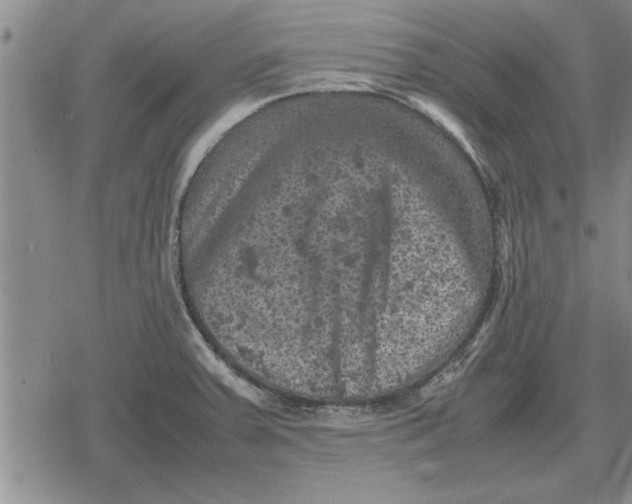 X0000079281379200612081742