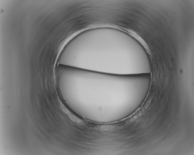 X0000079281380200612081742