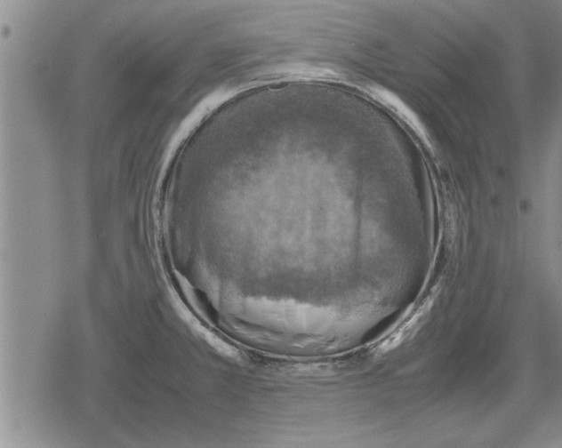 X0000079281381200612081742