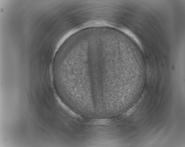 X0000079281382200612081742