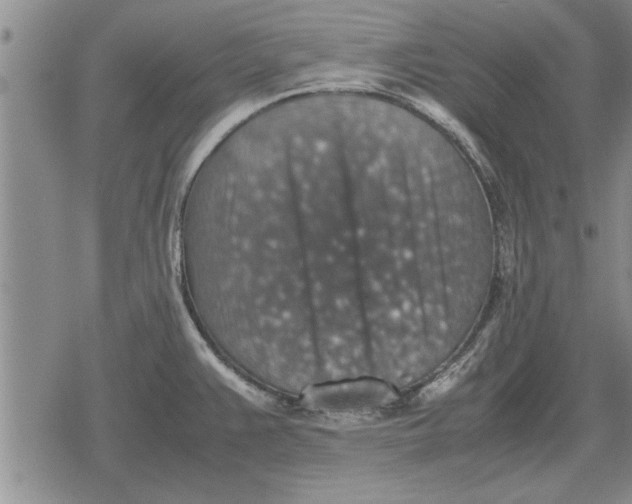 X0000079281383200612081742