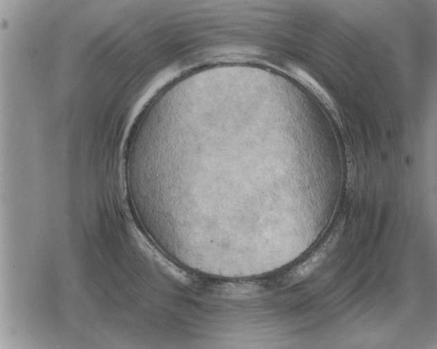 X0000079281384200612081742