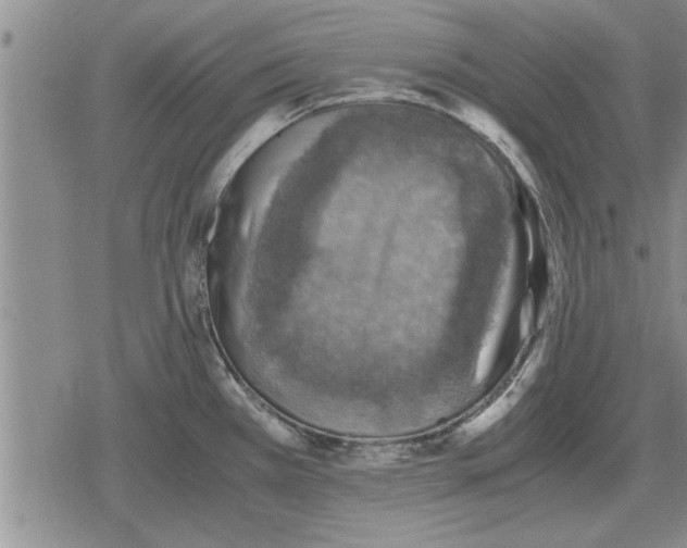 X0000079281385200612081742