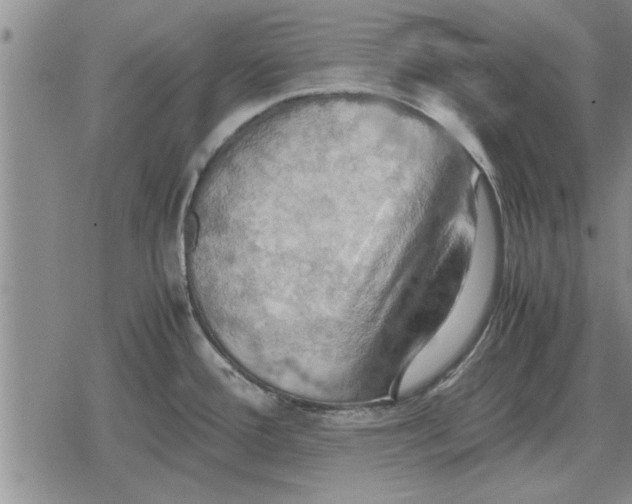 X0000079281388200612081742