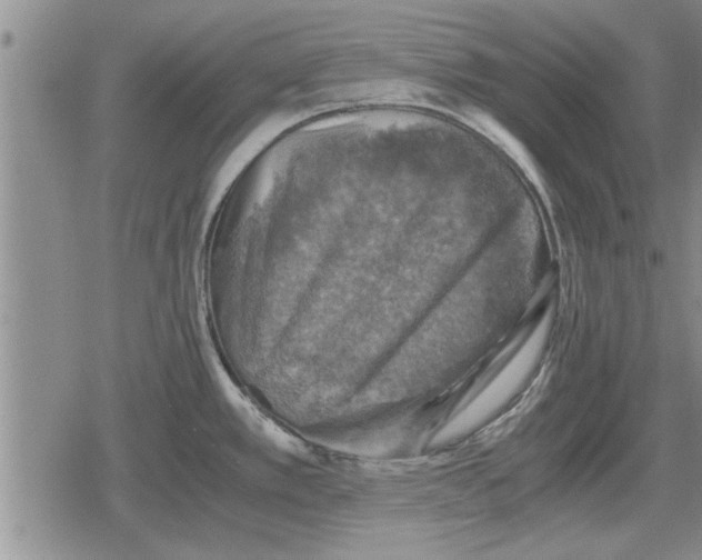 X0000079281389200612081742