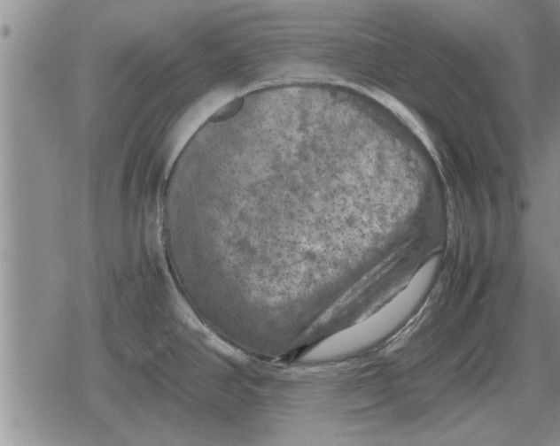 X0000079281390200612081742