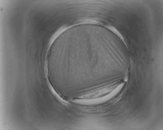 X0000079281391200612081742