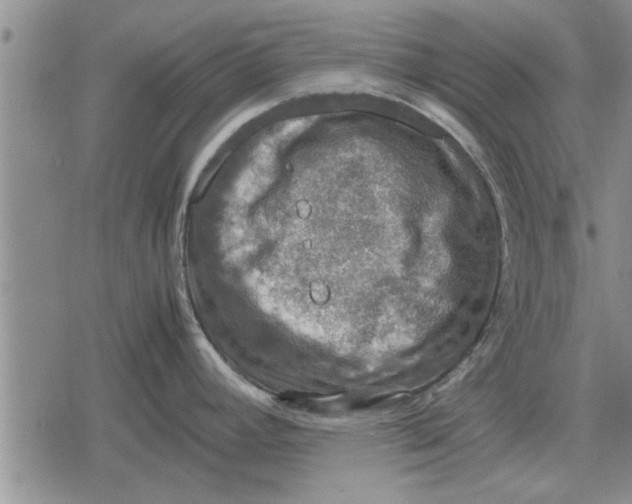 X0000079281392200612081742