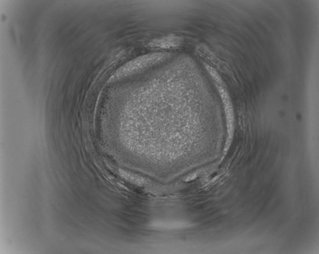 X0000079281393200612081741