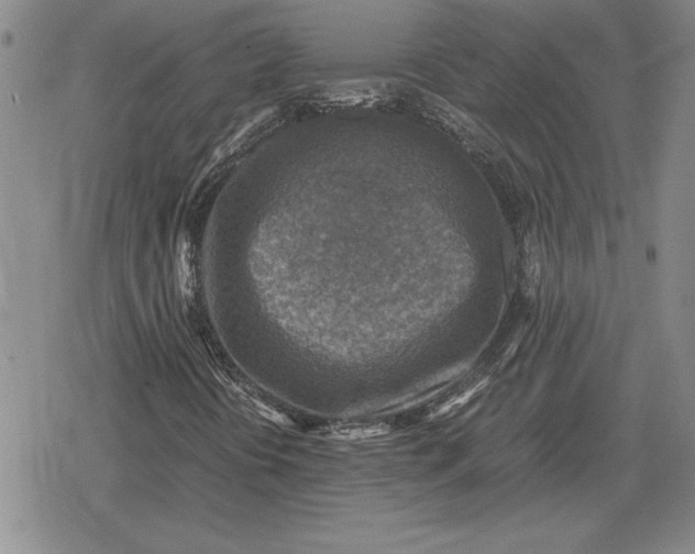 X0000079281394200612081741