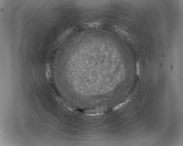 X0000079281395200612081741