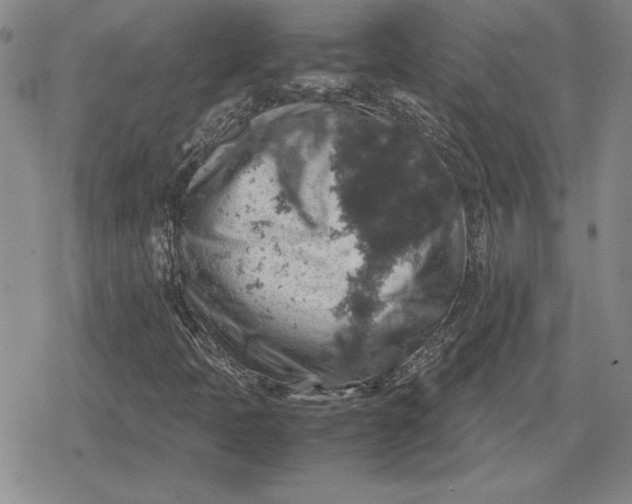 X0000079281397200612081741